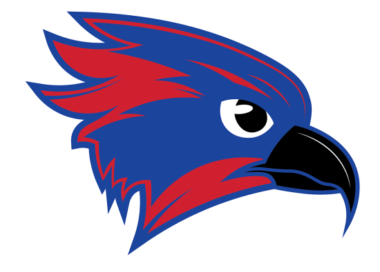 Owego Fall Sports