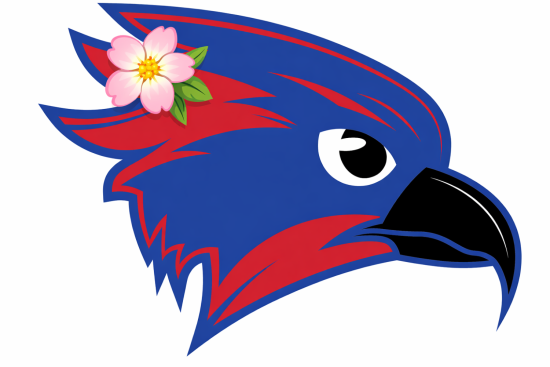 Owego Spring Sports